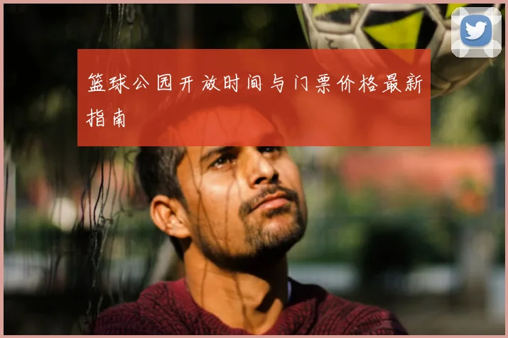 篮球公园开放时间与门票价格最新指南