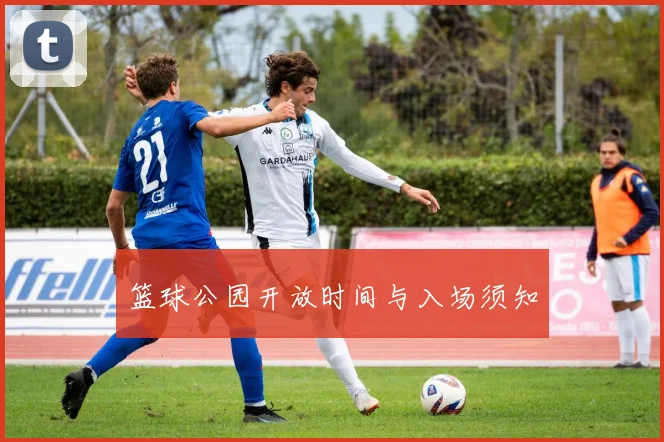 篮球公园开放时间与入场须知